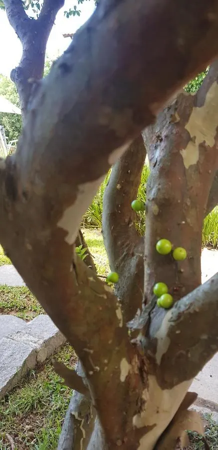 Zajazd Pousada Guaruja Bombinhas