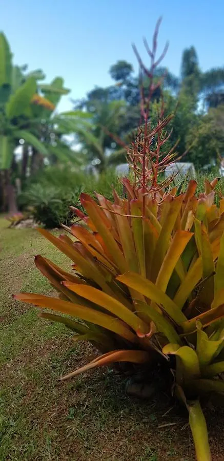 Zajazd Pousada Guaruja Bombinhas